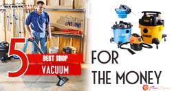 Best Shop Vacuum Reviews 2025