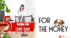 Best Vacuum For Long Hair Reviews 2022